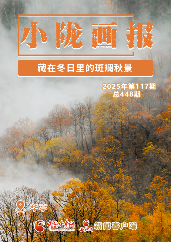 【小隴畫報·448期】華亭:藏在冬日里的斑斕秋景